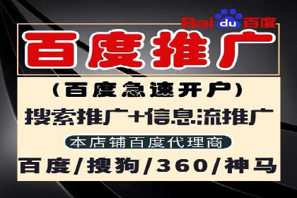 竞价排名技巧：如何有效进行网络推广